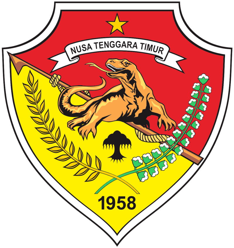 Pembangunan Infrastruktur dan Kebijakan Publik di Provinsi Nusa Tenggara Timur