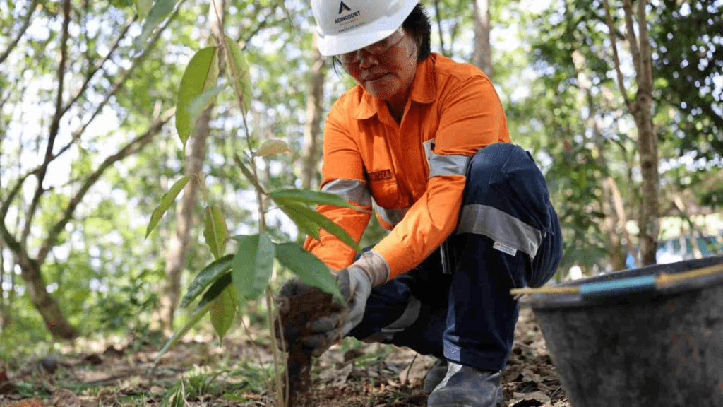 Rehabilitasi Hutan Indonesia: Target, Progres, dan Tantangan di 2026