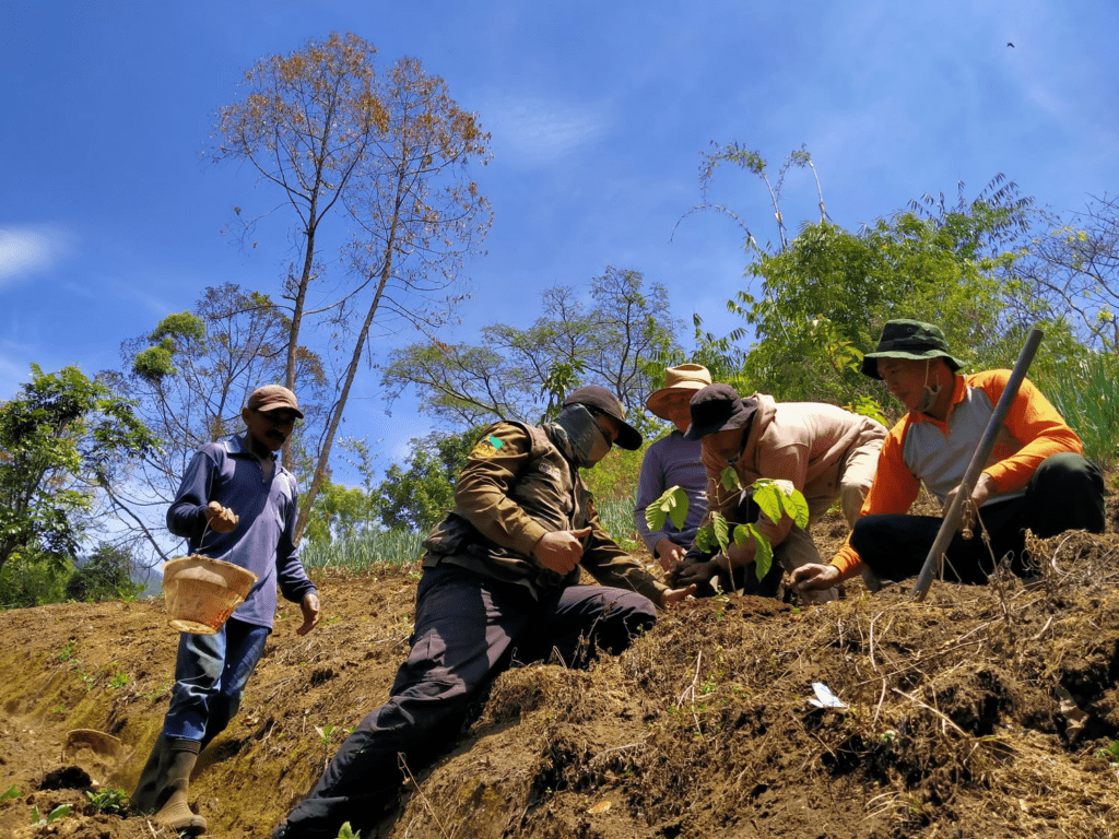 Rehabilitasi Hutan Indonesia: Target, Progres, dan Tantangan di 2026