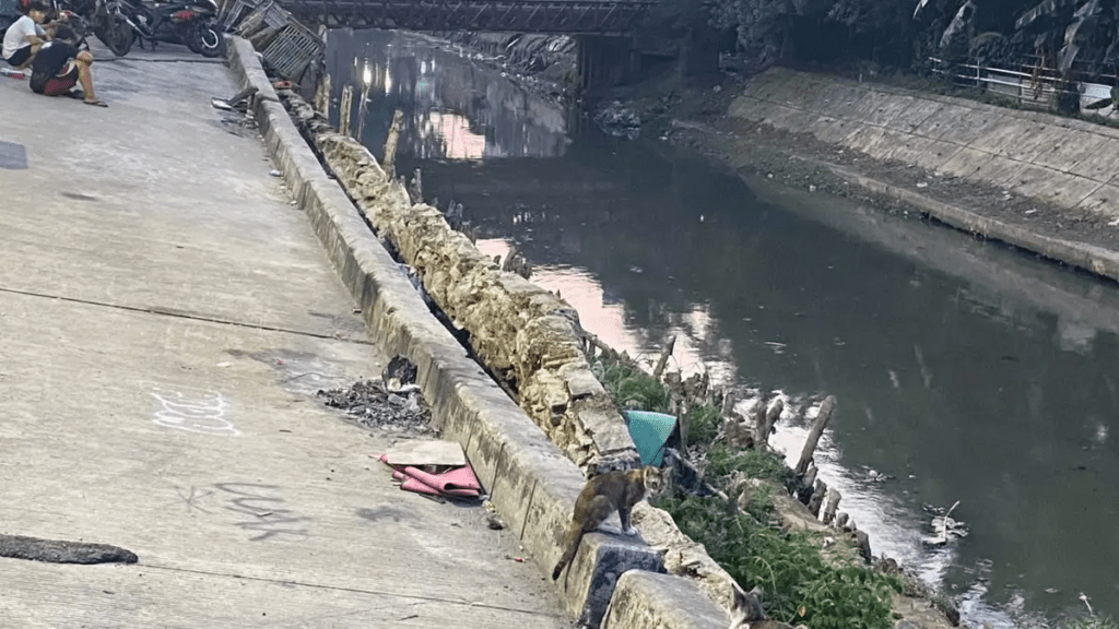 5 Bulan Jalan Ambles Pulo Gadung Dibiarkan, Pramono Turun Tangan